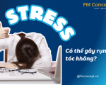 Stress có thể gây tóc rụng không? Sự thật đằng sau mái tóc yếu, gãy rụng vì căng thẳng