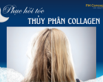 HẤP TÓC PHỤC HỒI TÓC COLLAGEN THỦY PHÂN CAO CẤP: GIẢI PHÁP CHUYÊN SÂU CHO MÁI TÓC HƯ TỔN NẶNG