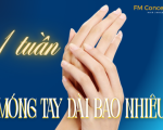 1 Tuần Móng Tay Dài Bao Nhiêu? Bí Quyết Để Móng Chắc Khỏe Từ Xu Hướng Chăm Sóc Hiện Đại