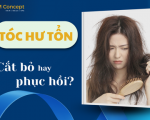 Tóc hư tổn: Nên cắt bỏ hay phục hồi – chuyên gia nói gì? Tóc hư tổn: Nên cắt bỏ hay phục hồi – chuyên gia nói gì?