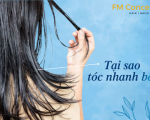 Tóc nhanh bết là do đâu? Nguyên nhân và cách khắc phục hiệu quả