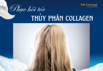 HẤP TÓC PHỤC HỒI TÓC COLLAGEN THỦY PHÂN CAO CẤP: GIẢI PHÁP CHUYÊN SÂU CHO MÁI TÓC HƯ TỔN NẶNG