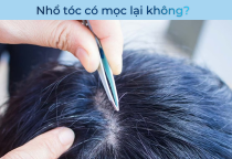 Nhổ tóc có mọc lại được không? Giải đáp chi tiết từ góc nhìn chăm sóc tóc