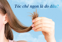 Tóc chẻ ngọn là gì? Nguyên nhân và cách khắc phục hiệu quả