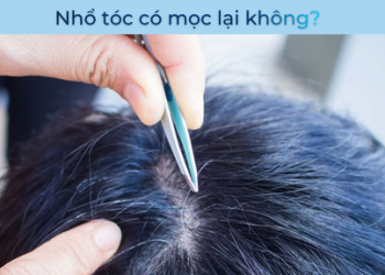 Nhổ tóc có mọc lại được không? Giải đáp chi tiết từ góc nhìn chăm sóc tóc