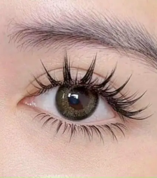 Nối mi chồn thiết kế 