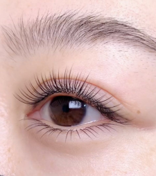 Nối Mi Trên Cơ Bản