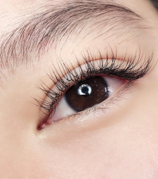 Uốn mi phủ collagen